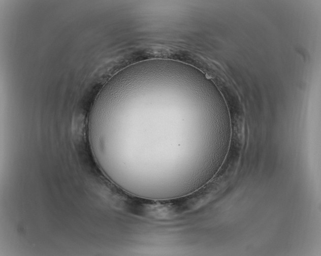 X0000115780511200911131250