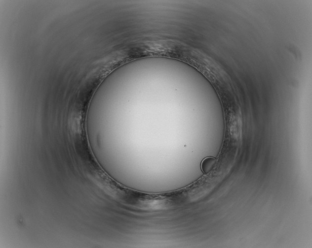 X0000115780514200911131250