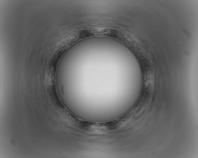 X0000115780515200911131250
