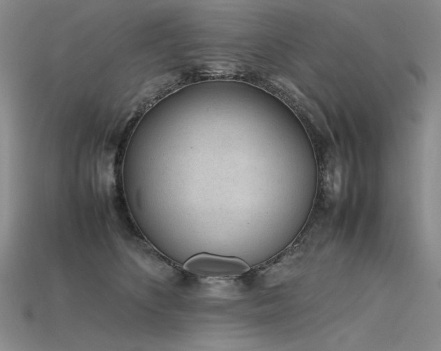 X0000115780516200911131250