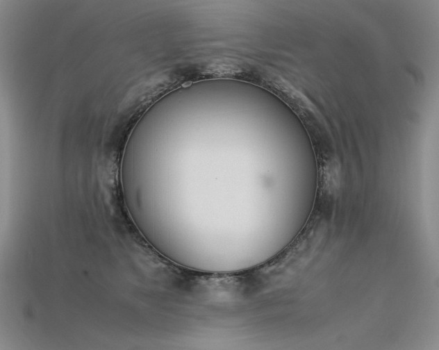 X0000115780517200911131250
