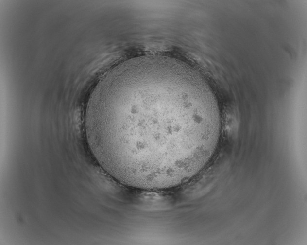X0000115780519200911131250