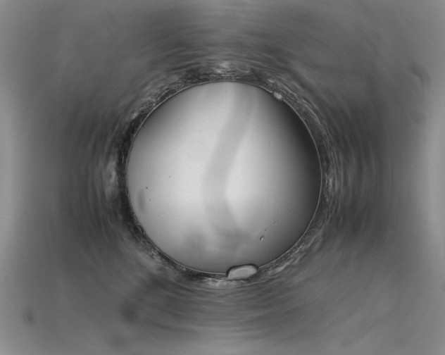 X0000115780520200911131250