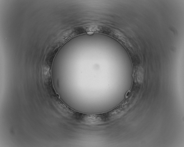 X0000115780521200911131250