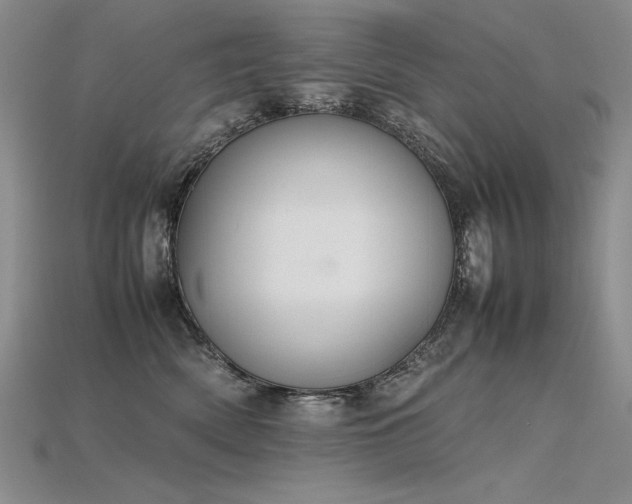 X0000115780522200911131250