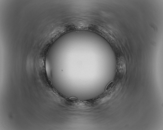 X0000115780523200911131250
