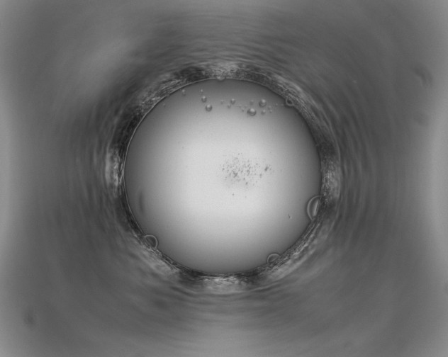 X0000115780525200911131250