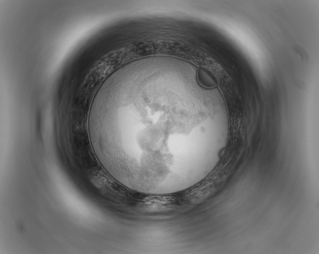 X0000115780526200911131250