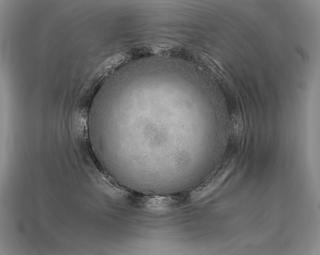 X0000115780527200911131250