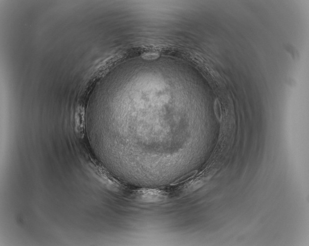 X0000115780528200911131250