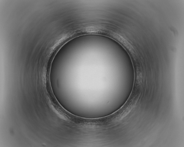 X0000115780530200911131249