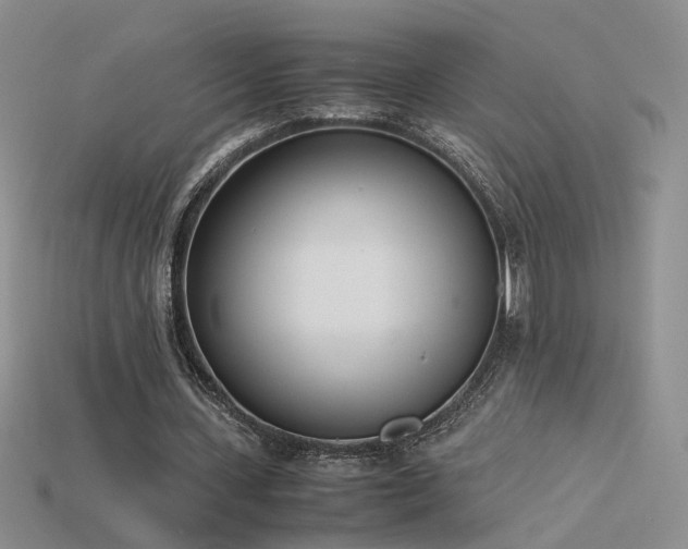X0000115780531200911131249