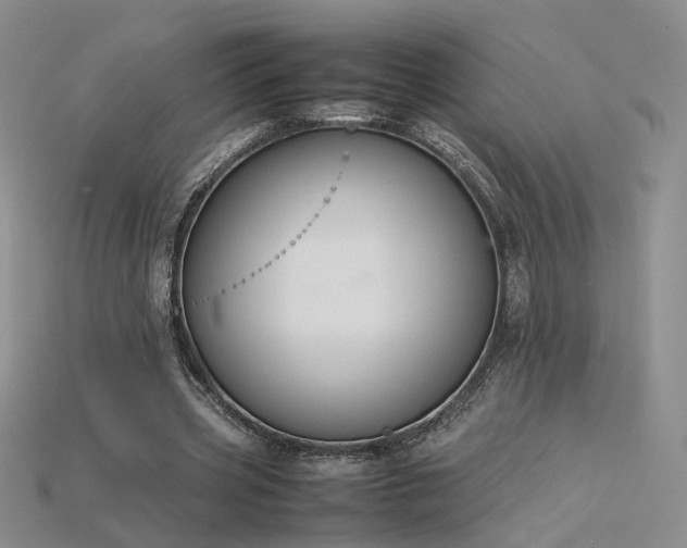 X0000115780533200911131249