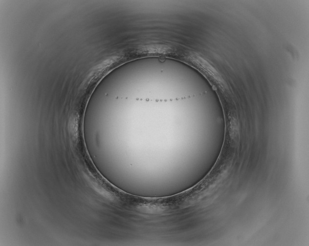 X0000115780537200911131249