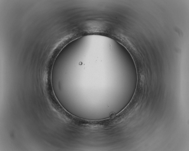 X0000115780539200911131249