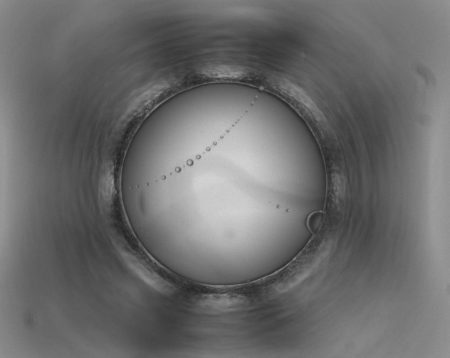 X0000115780541200911131249