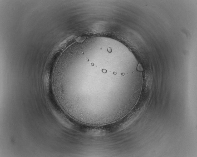 X0000115780542200911131249
