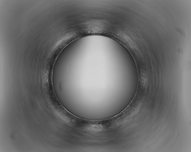 X0000115780543200911131249