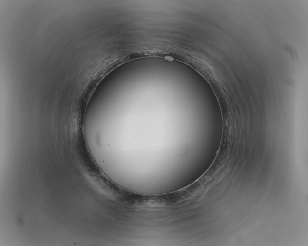 X0000115780546200911131249