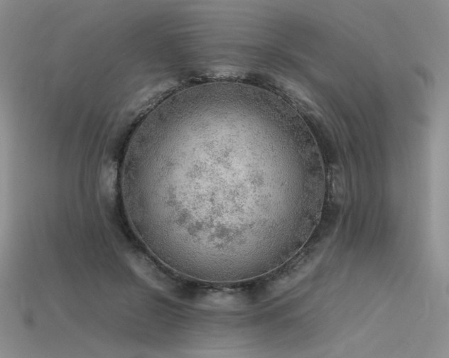 X0000115780550200911131249