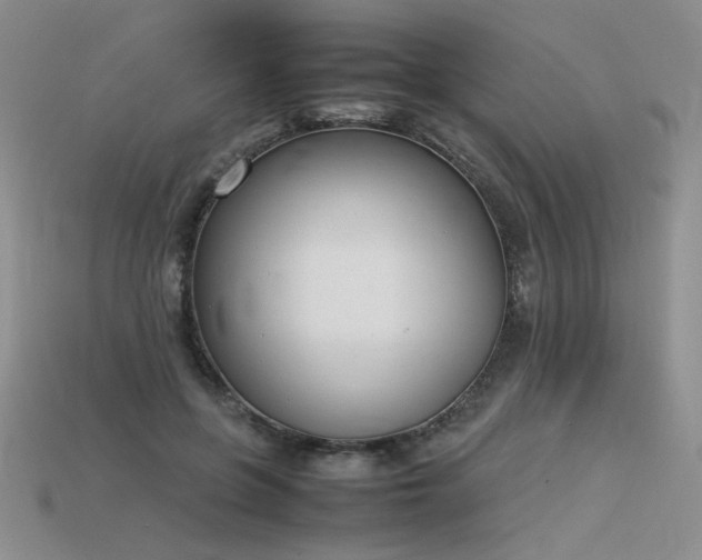 X0000115780551200911131249