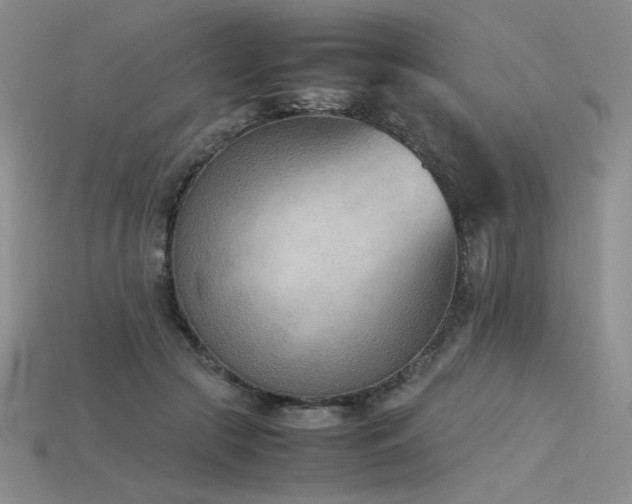 X0000115780553200911131249