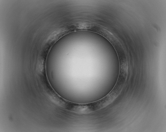 X0000115780554200911131249