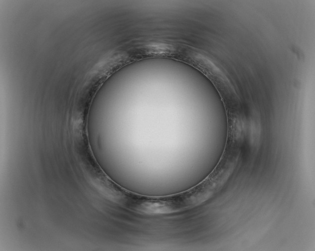 X0000115780557200911131249