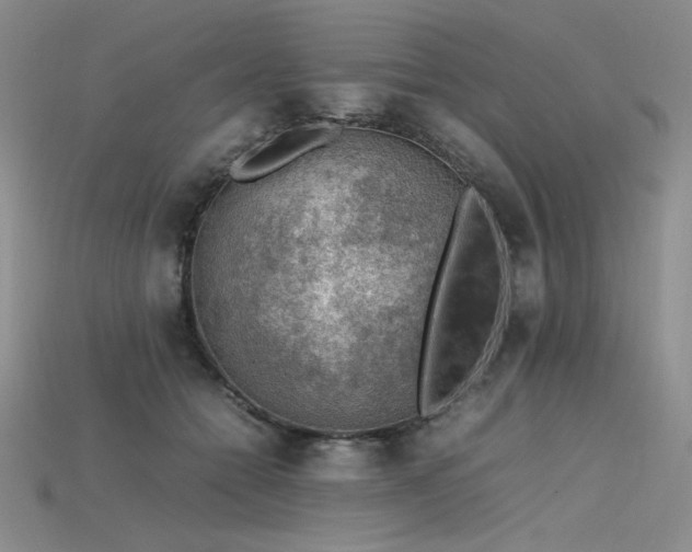 X0000115780558200911131249