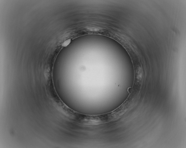 X0000115780559200911131249
