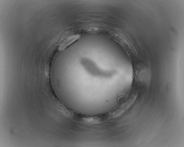 X0000115780561200911131249