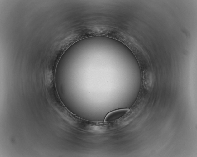 X0000115780563200911131250
