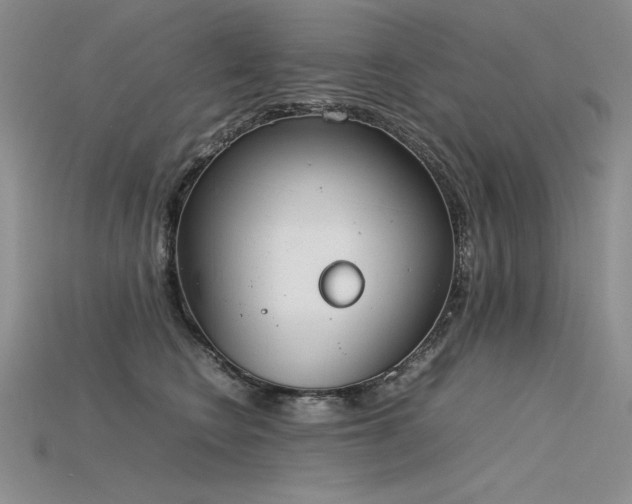 X0000115780566200911131250