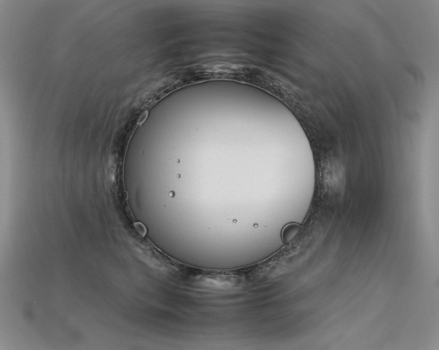 X0000115780567200911131250