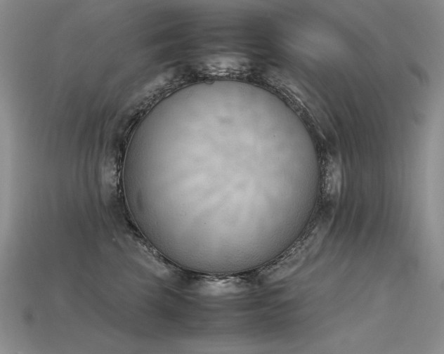 X0000115780569200911131250