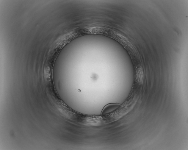 X0000115780571200911131250