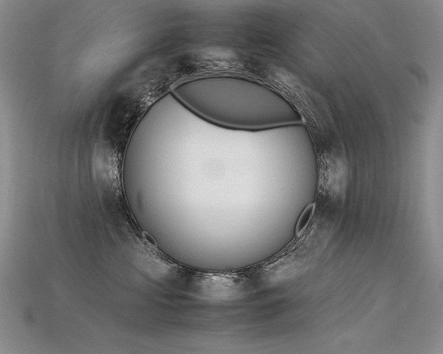 X0000115780573200911131250
