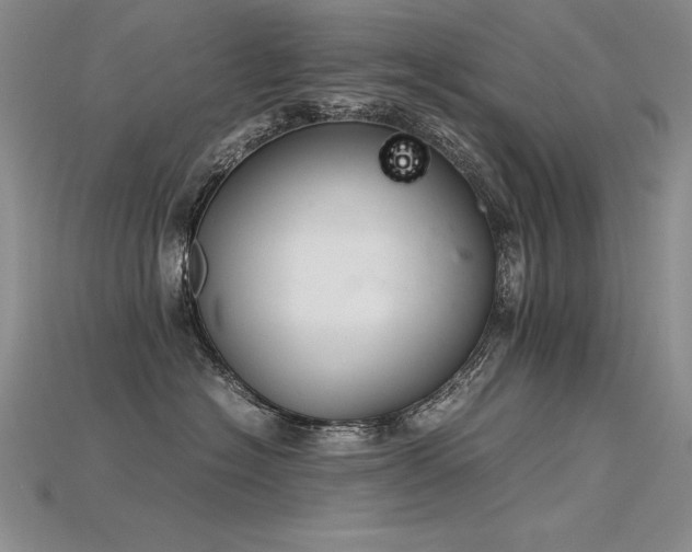 X0000115780574200911131250