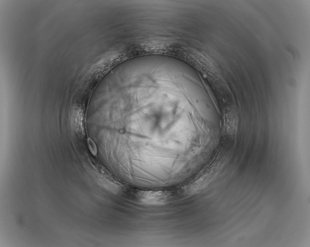 X0000115780575200911131250