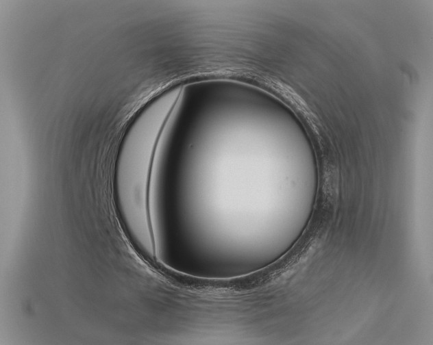 X0000115780577200911131249