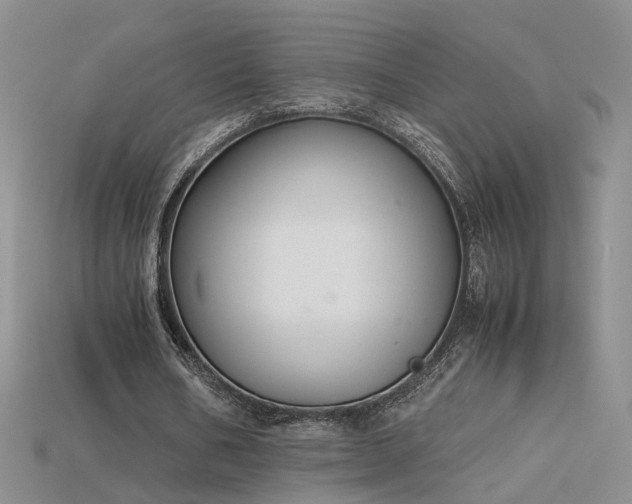 X0000115780578200911131249