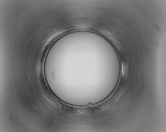 X0000115780579200911131249