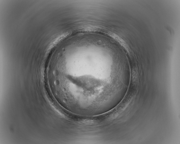X0000115780581200911131249