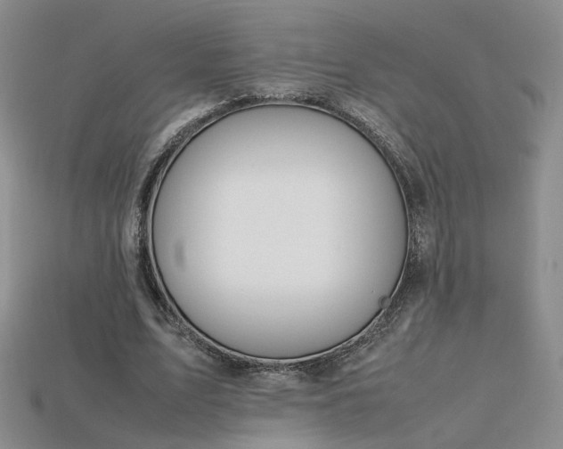 X0000115780583200911131249