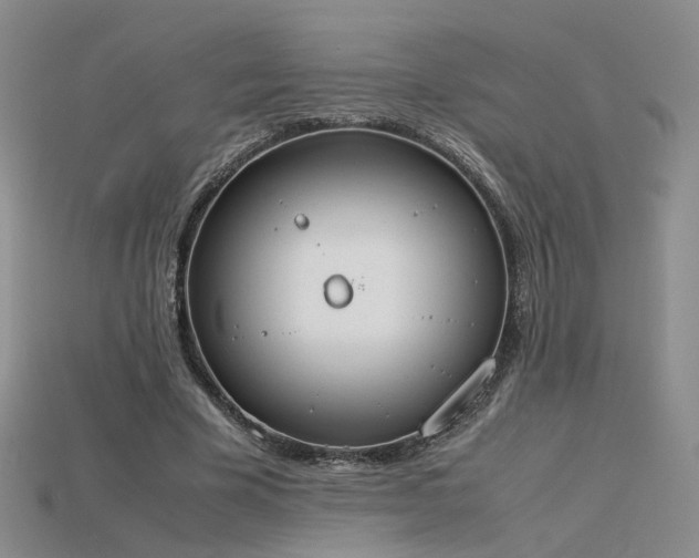 X0000115780585200911131249