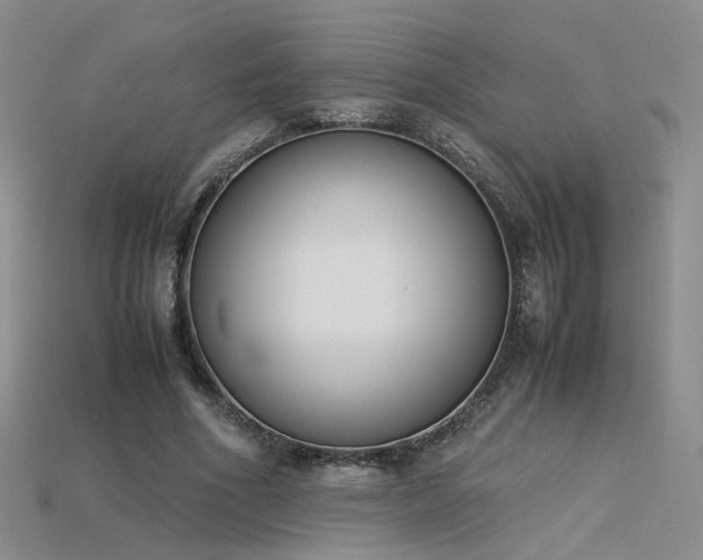 X0000115780586200911131249