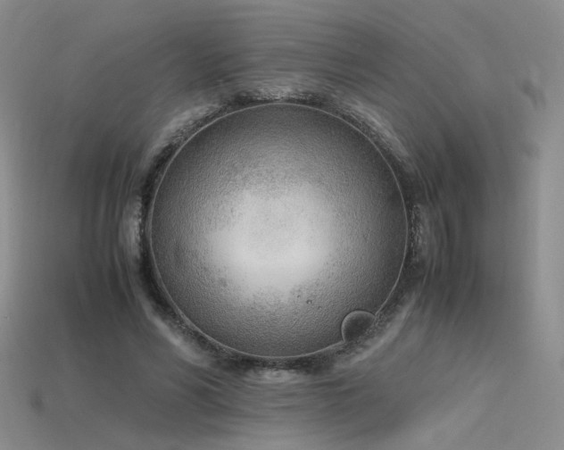 X0000115780590200911131249