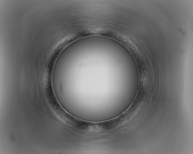 X0000115780591200911131249