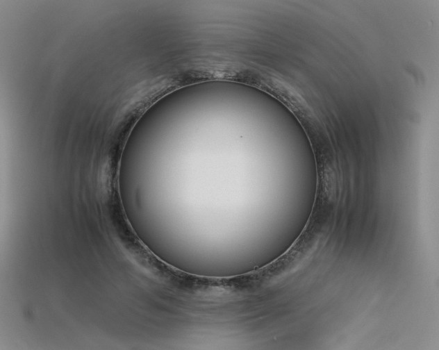 X0000115780594200911131249