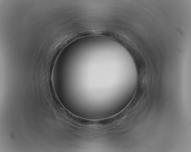 X0000115780595200911131249